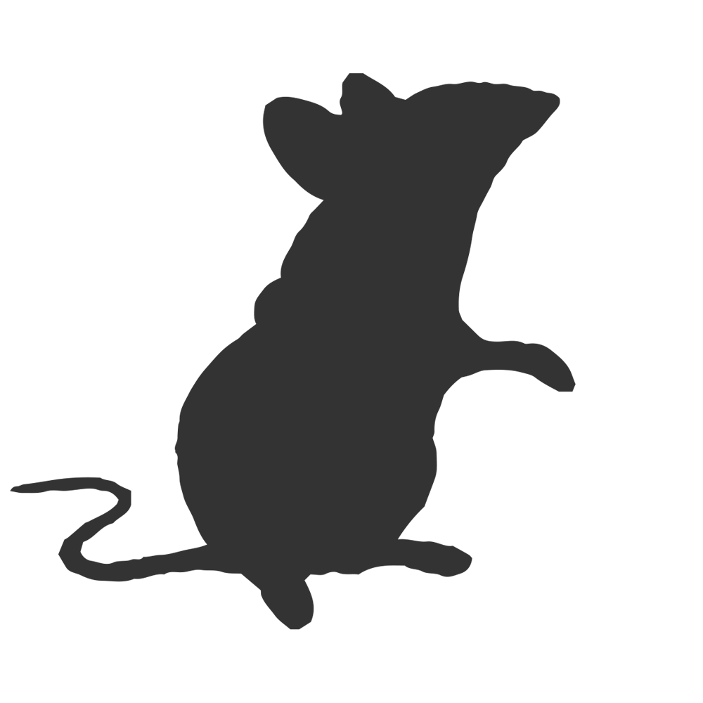 Image de traitement de souris