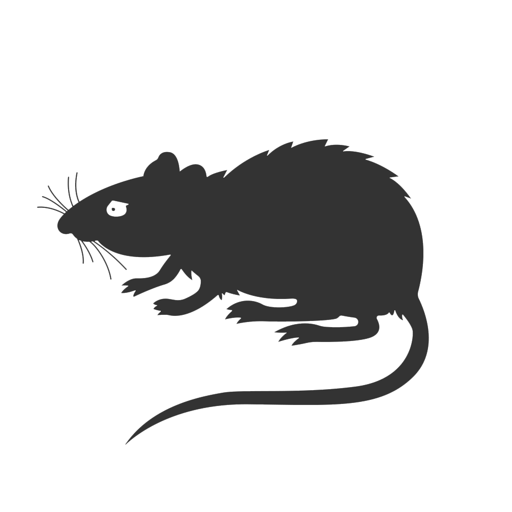 Image de traitement de rats